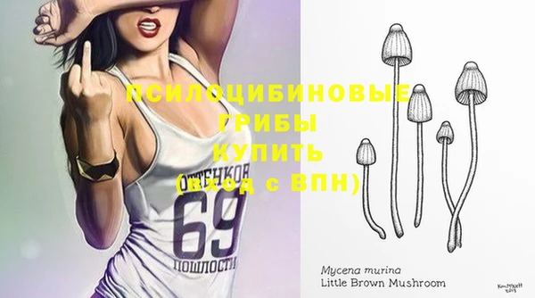 СК Козельск