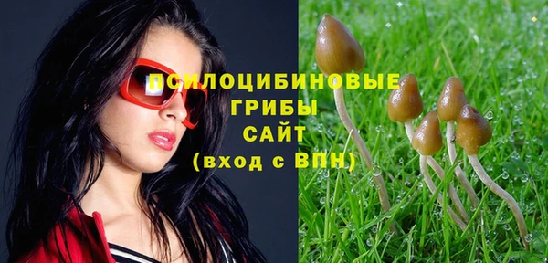 метадон Костерёво