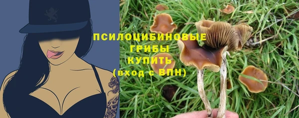 амфетамин Козловка