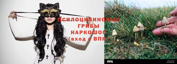амфетамин Козловка
